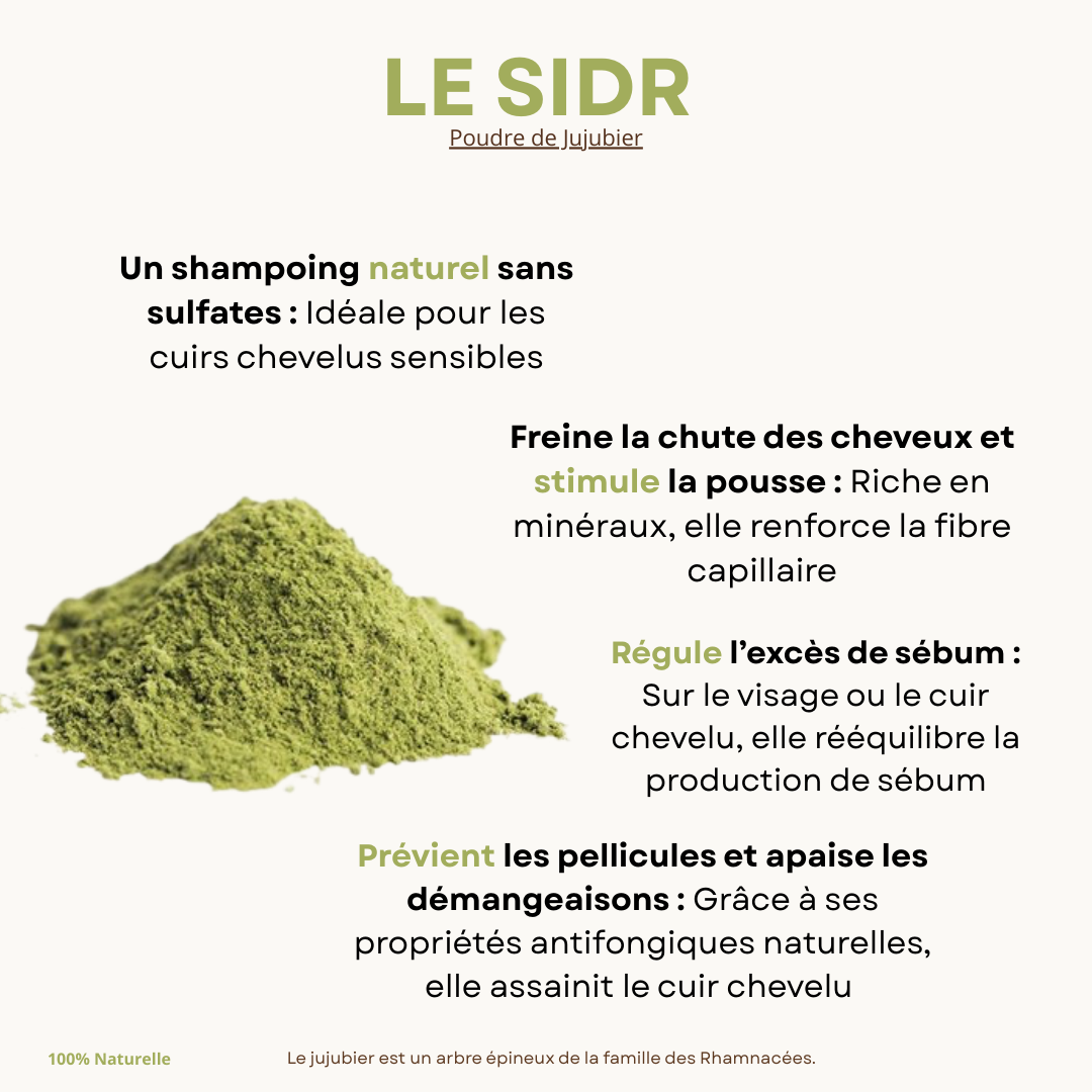 Poudre de Jujubier (Sidr) – Le Secret Ancestral